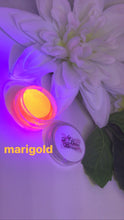 Load image into Gallery viewer, Marigold Aqua Liner
