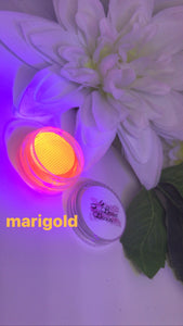 Marigold Aqua Liner