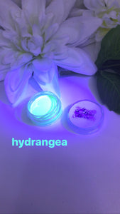 Hydrangea Aqua Liner
