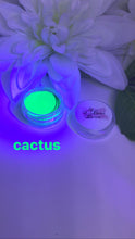 Load image into Gallery viewer, Cactus Aqua Liner
