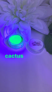 Cactus Aqua Liner