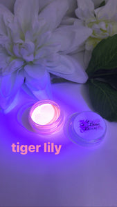 Tiger Lily Aqua Liner
